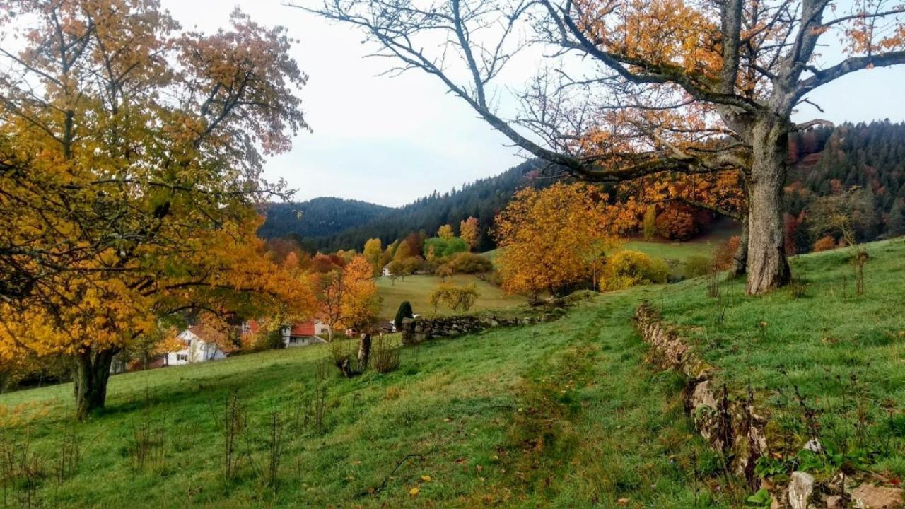 Ferienwohnung Mit Aussicht Enzklösterle Exterior foto